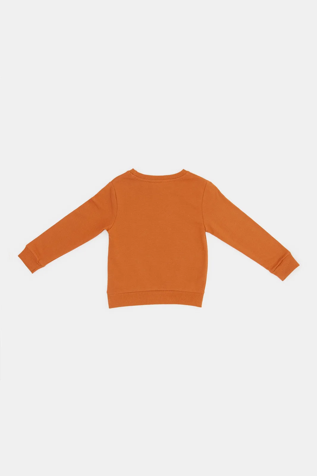 Infant Boys Tan Tiger Safari Printed Sweatshirts