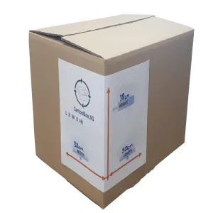 New Standard Carton Box  : 50cm(L) x 38cm(W) x 38cm(H)-Bundle of 10pcs *